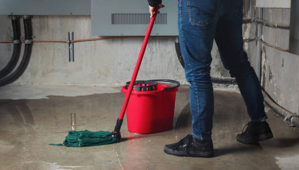 Best Flooded house restoration  in Loyal, WI