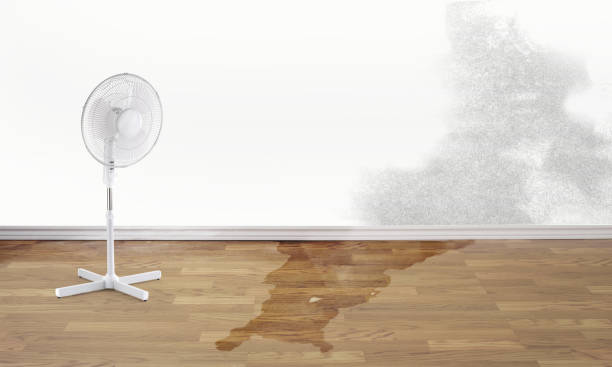  Loyal, WI Water damage restoration Pros