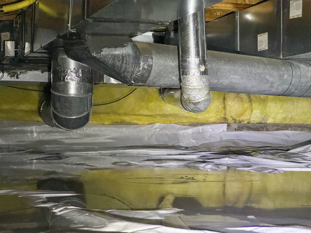 Best Professional water damage repair  in Loyal, WI