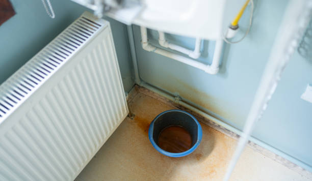 Best Water damage restoration near me  in Loyal, WI