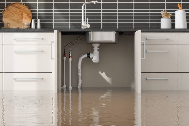 Best Water damage restoration experts  in Loyal, WI